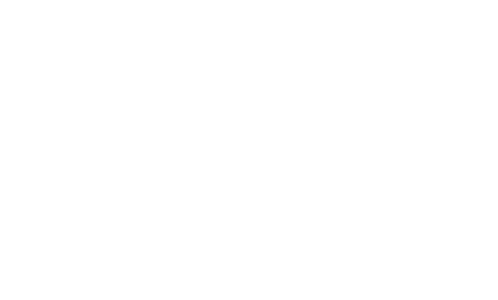 logo de leo buenaventura distribuciones